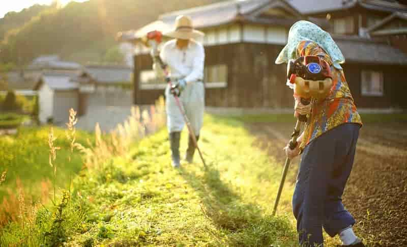 経営共創基盤が日本共創プラットフォームを設立