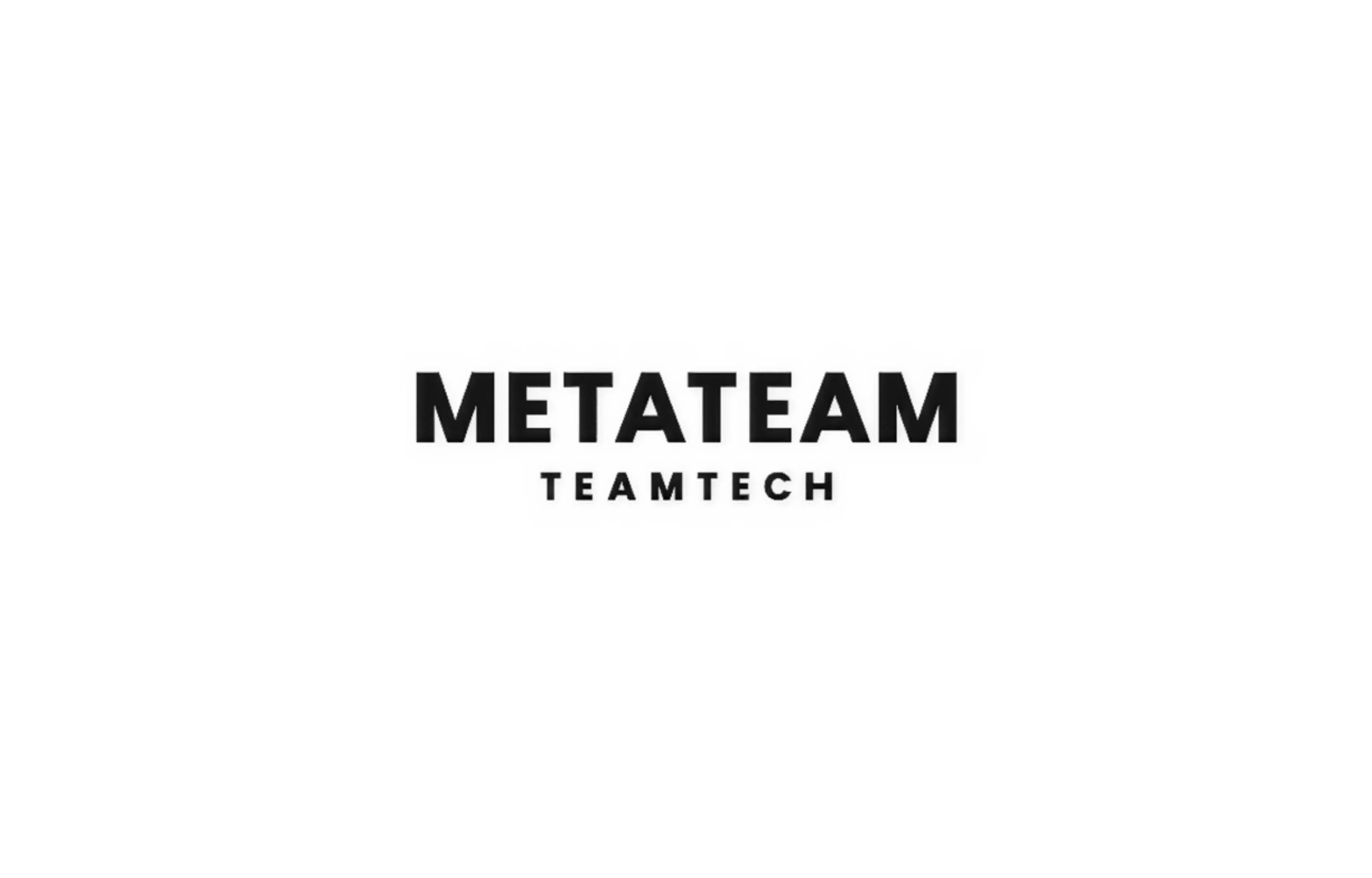 METATEAM